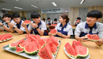 현대모비스, 250개 협력사에 수박 7000통 선물