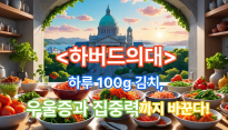 하버드가 주목한 김치의 놀라운 효능