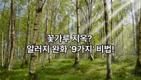 5월 꽃가루 알러지 시즌에 도움이 되는 자연 요법과 팁