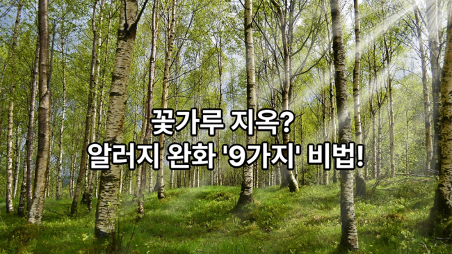 본문 이미지