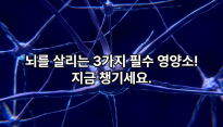뇌 건강에 좋은 검증된 3가지 필수 영양소는 이것