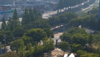 “죄송합니다!”로 시작한 운동회… 초등생 단체 사과, 왜?