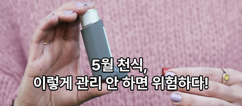 천식 환자를 위한 필수 가이드: 