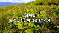 당근만으로는 부족하다? 안과의사가 추천하는 눈 건강 최강 식품 5가지