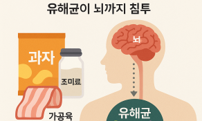 초가공식품 즐기면 파킨슨병 위험 ‘껑충’…하루 11회 섭취 시 2.5배↑