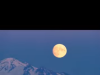역사 속 오늘, 7월 20일