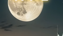 역사 속 오늘, 7월 25일