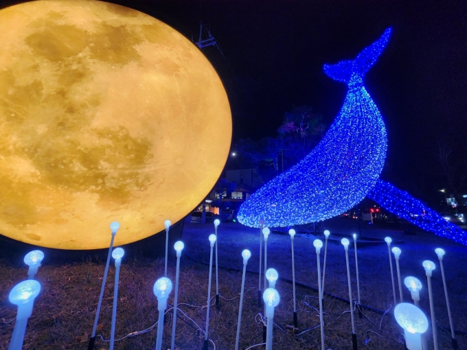 본문 이미지