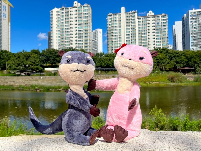 본문 이미지