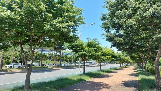 본문 이미지