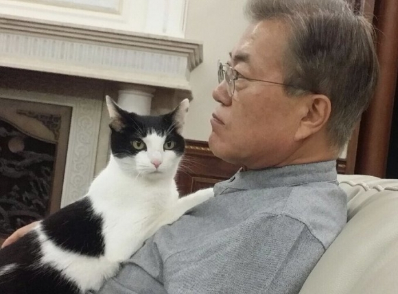 본문 이미지