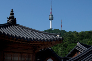 뉴 포르쉐 카이엔 한국 시장 데뷔