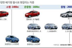 헷갈리는  차종, 무너지는 경계