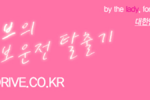 [초보운전탈출기] 브레이크등이 안 들어올 때
