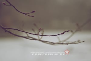 [슬로캠핑] 겨울의 끝자락에서 봄이 움터 나오다, 양주 씨알캠핑장
