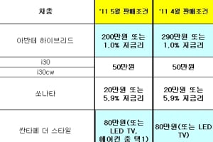현대차, 5월 판매 조건