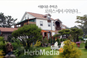 [허브미디어의 여행이야기] 안면도 로하스펜션