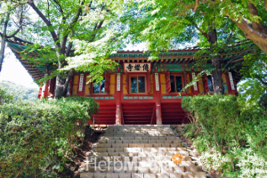 [허브미디어의 여행이야기] 역사의 섬에 창건된 고찰 '전등사'
