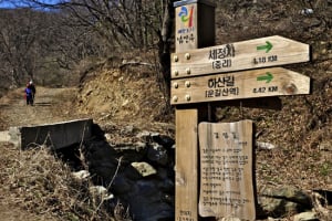 [솔로캠퍼의 슬로캠핑] 걷기, 관능적인 길 위에서… 남양주 깊은산속옹달샘캠핑장