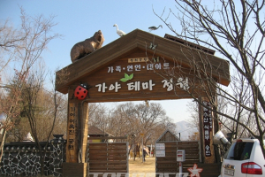 [마주 보는 여행] 도심의 한편에서 캠핑을 만나다