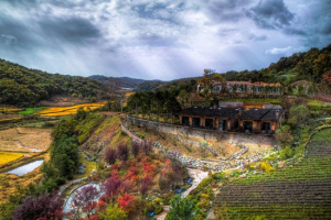 [마주 보는 여행] 허브향 가득한 캠핑의 즐거움