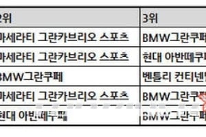 다음 선정 ‘부산모터쇼 최고의 차 TOP5’…렉스턴W는 어디에?
