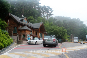 [마주 보는 여행] 대관령, 그 깊은 자연의 속삭임을 듣다 (1)
