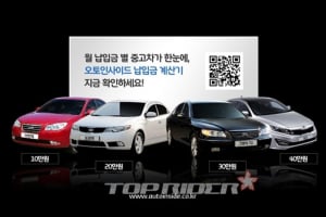 가격대별 중고차 한눈에, “한 달에 얼마면 살 수 있나?”