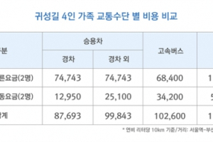 올해 설 귀성할 때 비용을 가장 아낄 수 있는 방법은?