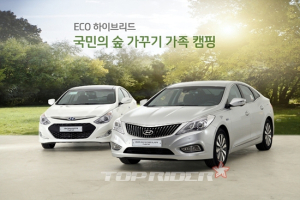 현대차와 고객이 함께하는 친환경 숲 가족여행