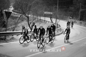 할리데이비슨도 렌탈로 이용한다