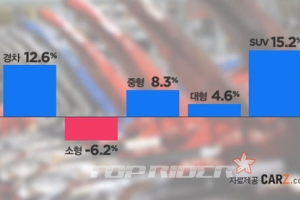상반기 내수판매량, 소형차 빼고 다 올랐네