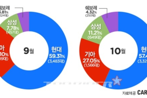 중고차 시장... 현대•기아차 부진, 르노삼성은 약진