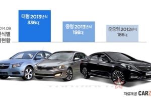 삼둥이만큼이나 어려야 사랑받는 중고차 풍토
