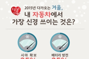 겨울철 내 차에서 가장 신경 쓰이는 것은?