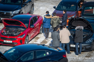 '2019 올해의 차' 후보, 팰리세이드 등 11대 선정